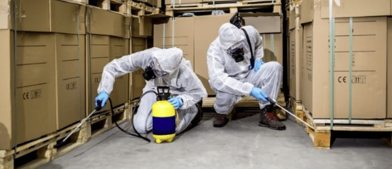 La higiene industrial y el control de plagas son prácticas esenciales para la seguridad alimentaria