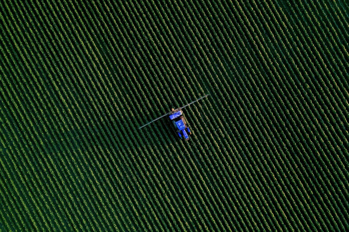 Limpieza agroalimentaria y farmacéutica